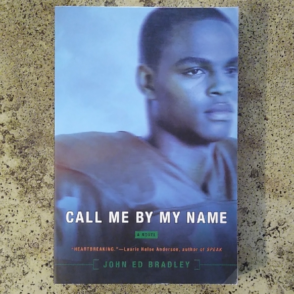 Call Me By My Name Book